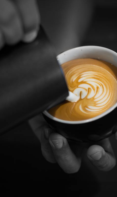 Catalogue de la bannière